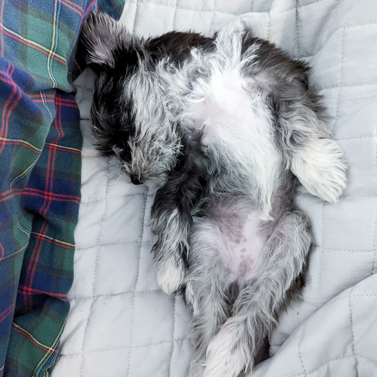 Kathryn Herndon tweet media