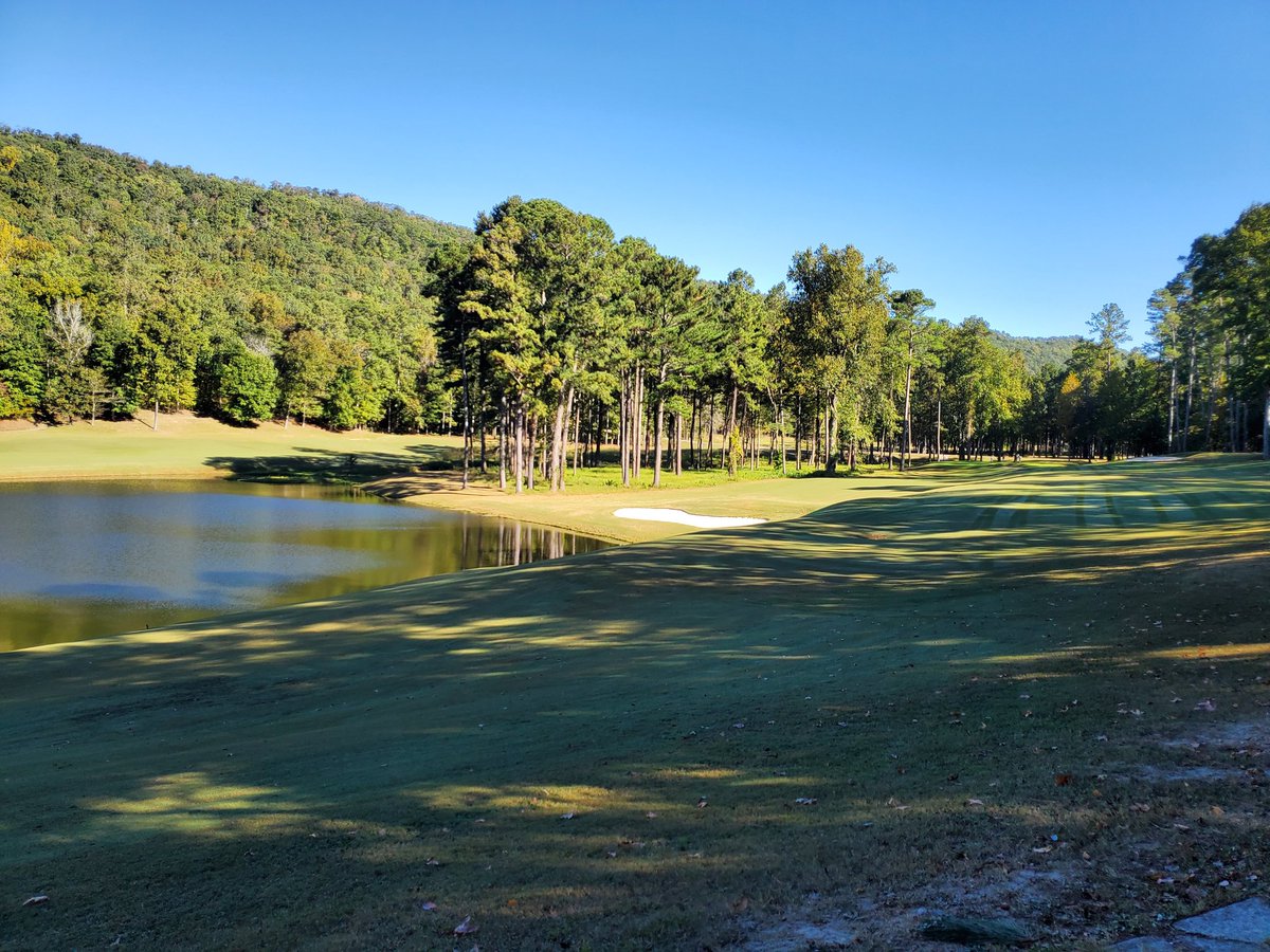 tj_gale's tweet photo. #Limestonesprings greens were pure. I was not. #ALABAMAgolf https://t.co/4bH7JVixHF
