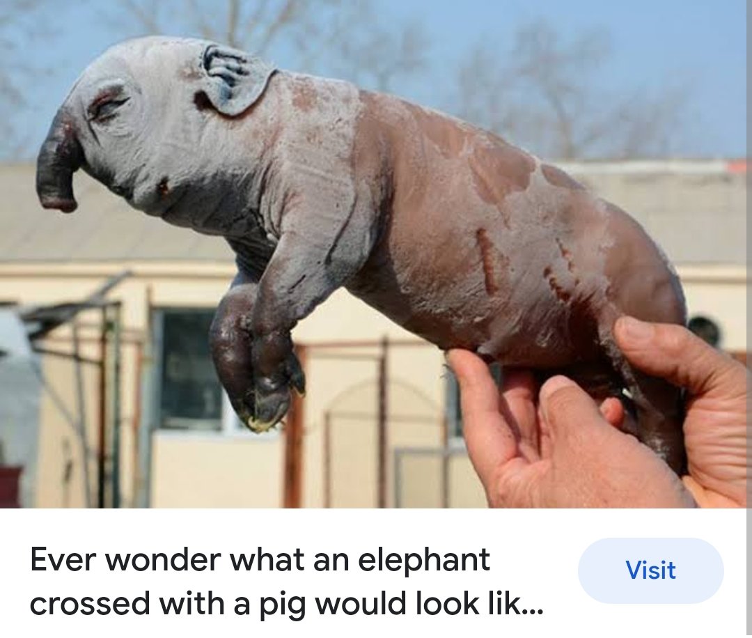 Tech Star Shahrukh tweet media