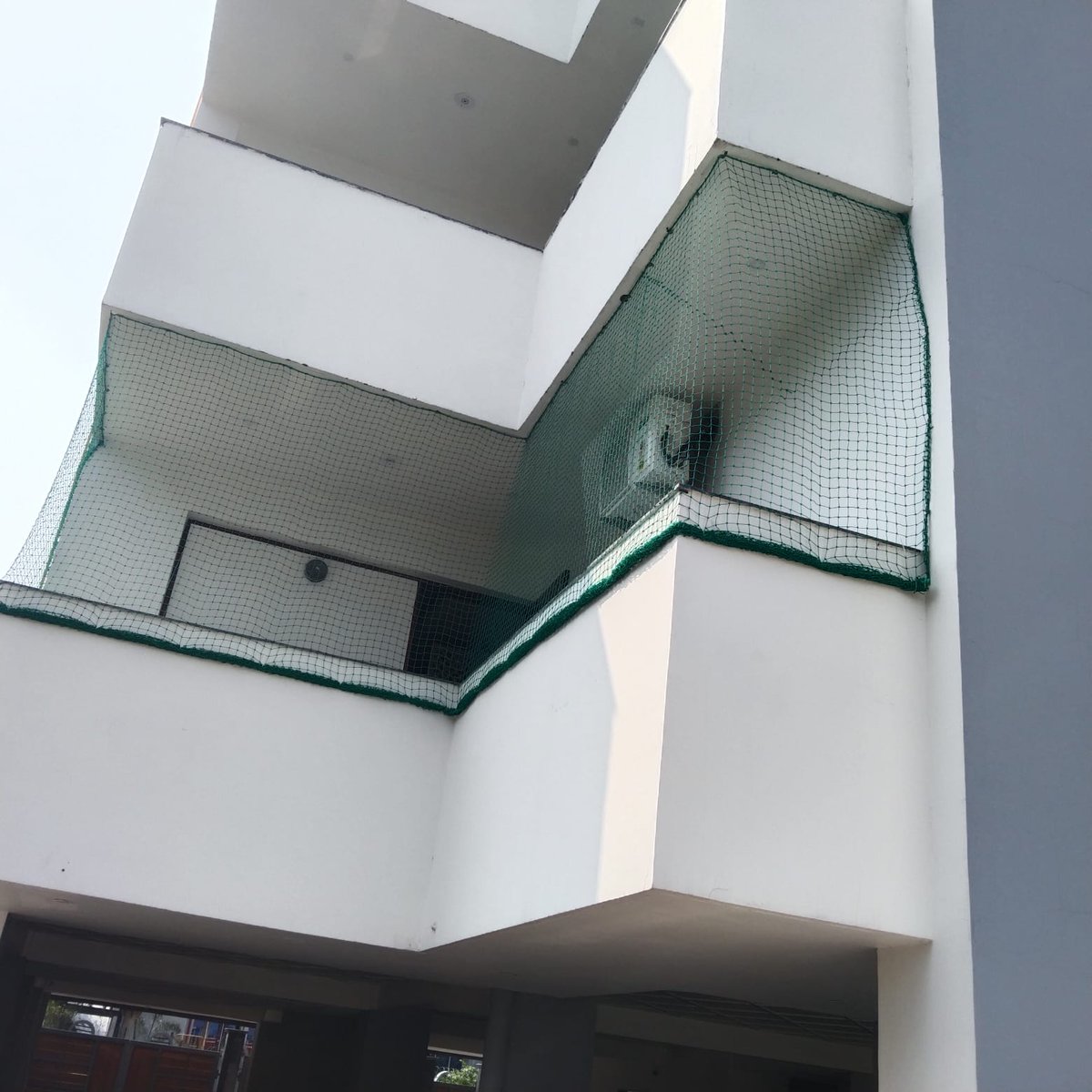 OfficeAVGlobal's tweet image. Monkey's entry inside home premises can be a serious concern for kids safety. Heavy quality monkey protection net installation is done to restrict monkey and cats entry.
#monkeyprotectionnet
#catprotectionnet
#nylonbirdnet
#heavyquality
#transpaerentbirdnet