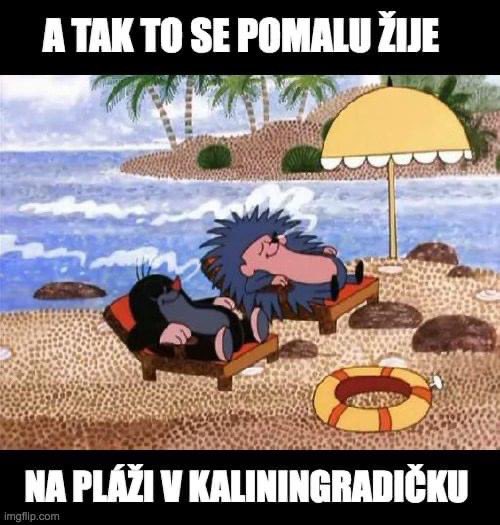 FeHqoAiX0AE5ZW4