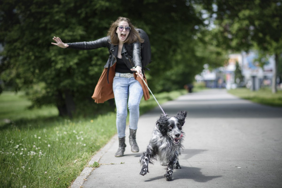 VictorHendrix20's tweet photo. Before you get a dog, you can’t quite imagine what living with one might be like; afterward, you can’t imagine living any other way. @VictorHendrix20 

#dogs #dogsoftwitter #dogslife #dogsarefamily #dogsarethebest #dogslover #canineweekly #like https://t.co/3dfp1hRp6S