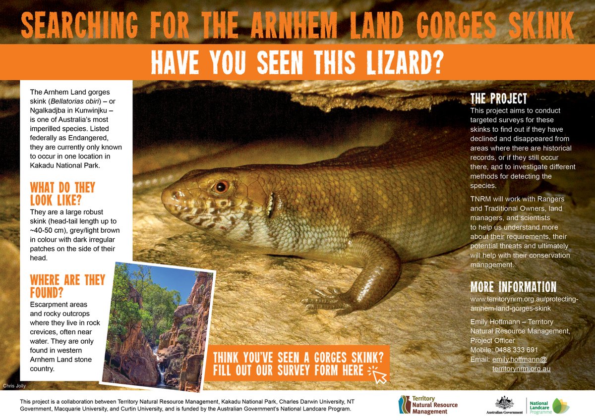 Emily Hoffmann tweet media