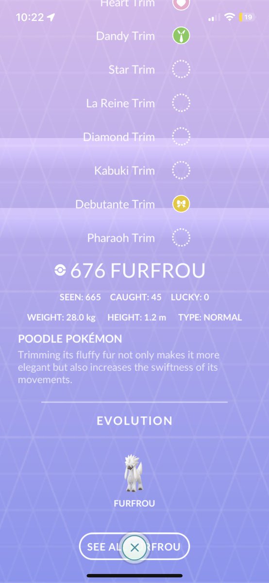 bonbonvega's tweet photo. 641 Furfrou seen and still no shiny 🫠🫠🫠 #shinybusiness #notthebusiness #shinycheck #PokemonGO #FashionWeek https://t.co/VeKG0x24s5