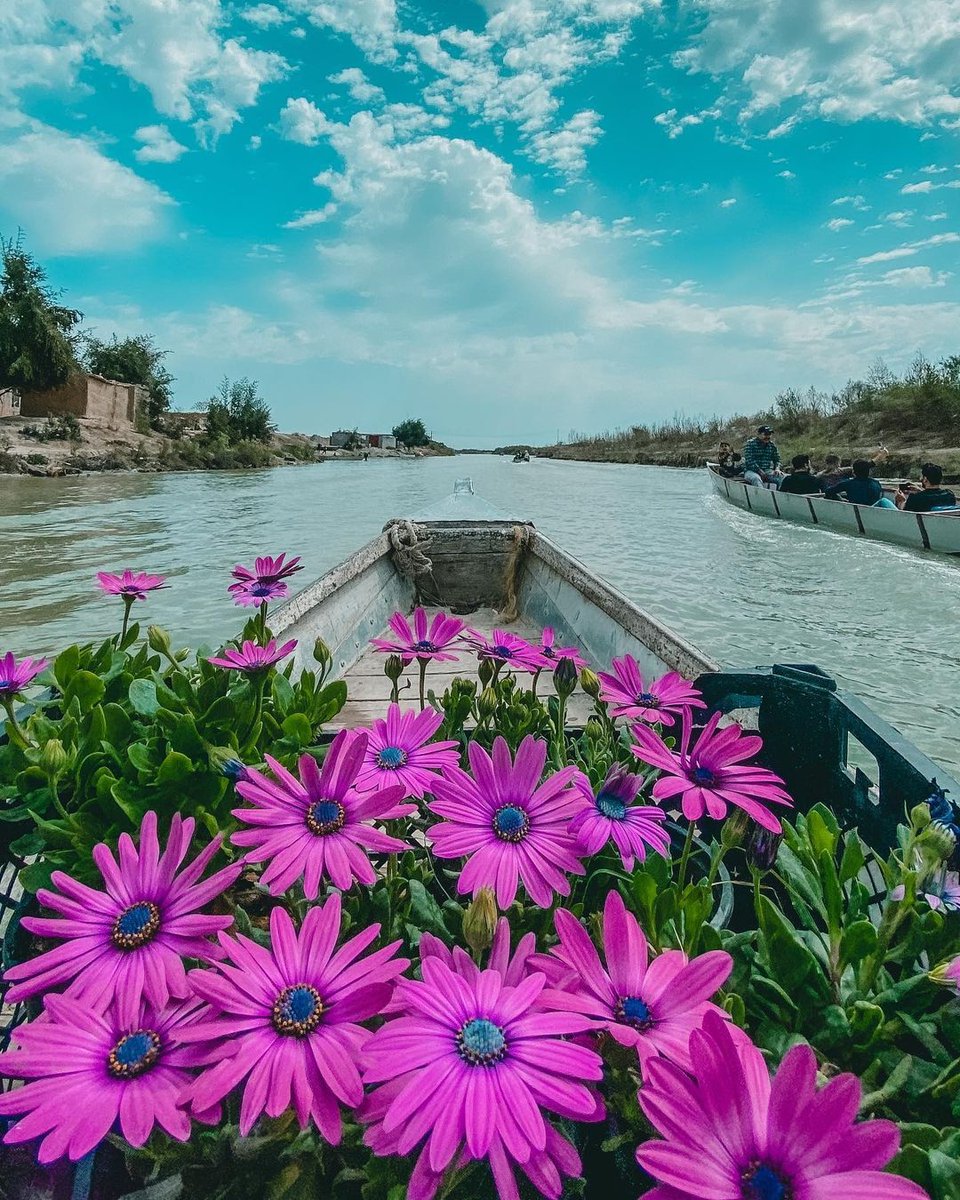 moments__iq's tweet photo. صباح الخير من هور أم نعاج ناحية الكحلاء
Copyright © bouraq90
Moments in IRAQ
#momentsiniraq #iraq #ahwar https://t.co/l9jLSb5XjE