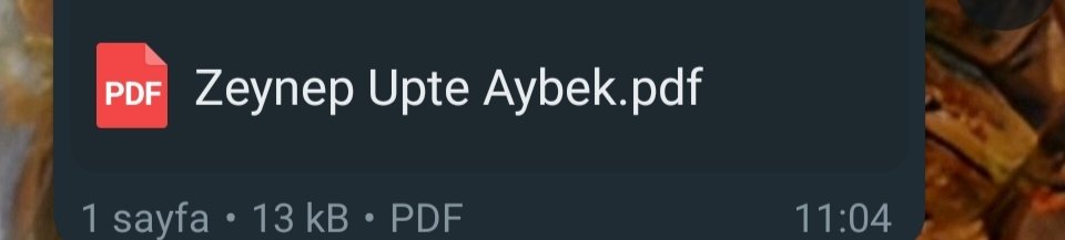 Siz bu ismi yanlış yazma olayının bokunu çıkarttınız ama ya