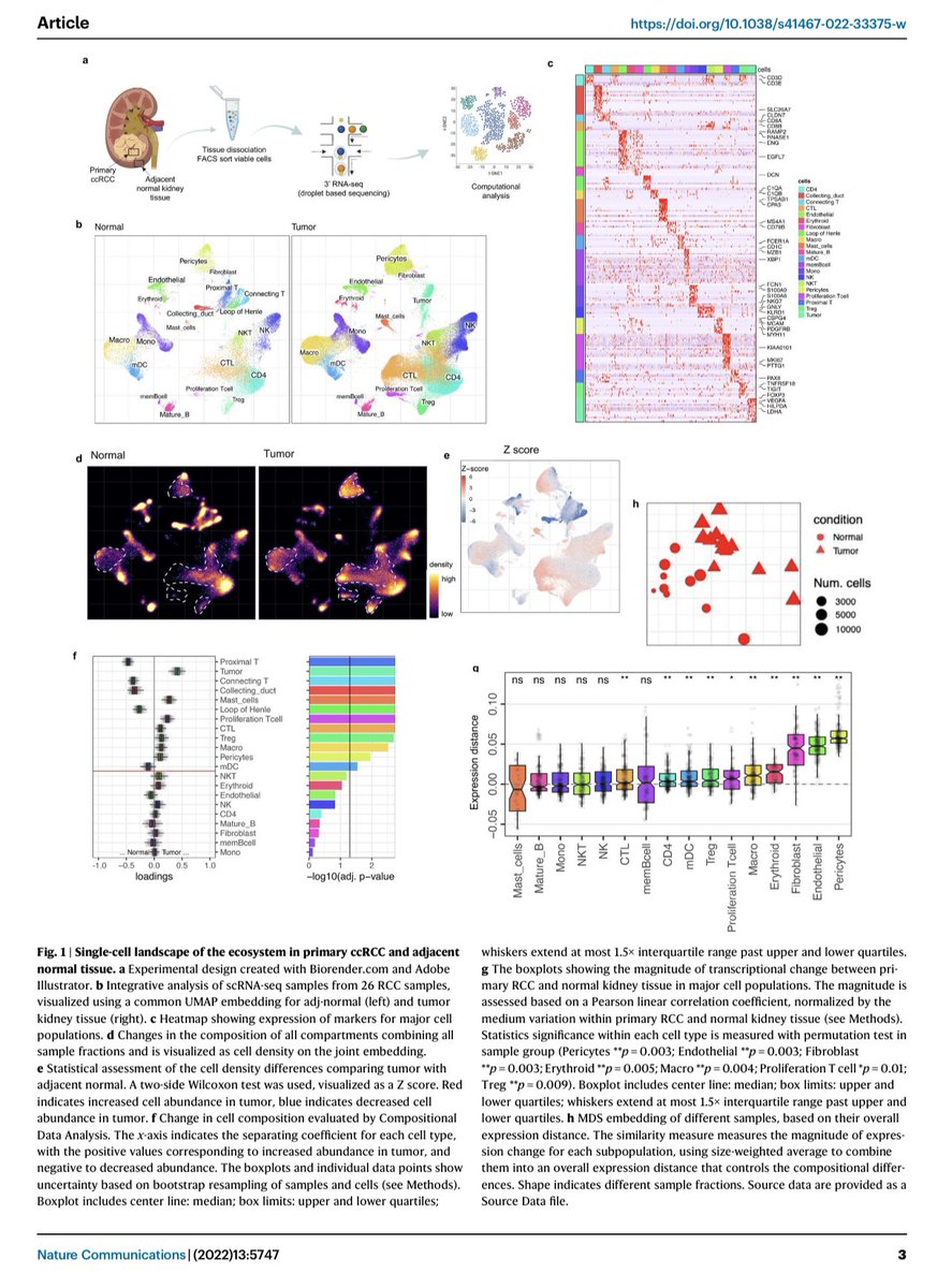 John H. Shin MD, MBA (@johnhshinmd) on Twitter photo Our latest is now <a href="/NatureComms/">Nature Communications</a>! From OR➡️lab, we studied potential therapeutic targets at the molecular level using single-cell analysis of tumor cells from the kidney & spine. Go team! <a href="/baryawno/">Ninib Baryawno</a> <a href="/SykesLabMGH/">SykesLabMGH</a> <a href="/ScaddenLab/">ScaddenLab</a> <a href="/KharchenkoLab/">PeterK</a> <a href="/MGHNeurosurg/">MGH Neurosurgery</a>
rdcu.be/cWLDN Our latest is now <a href="/NatureComms/">Nature Communications</a>! From OR➡️lab, we studied potential therapeutic targets at the molecular level using single-cell analysis of tumor cells from the kidney & spine. Go team! <a href="/baryawno/">Ninib Baryawno</a> <a href="/SykesLabMGH/">SykesLabMGH</a> <a href="/ScaddenLab/">ScaddenLab</a> <a href="/KharchenkoLab/">PeterK</a> <a href="/MGHNeurosurg/">MGH Neurosurgery</a>
rdcu.be/cWLDN