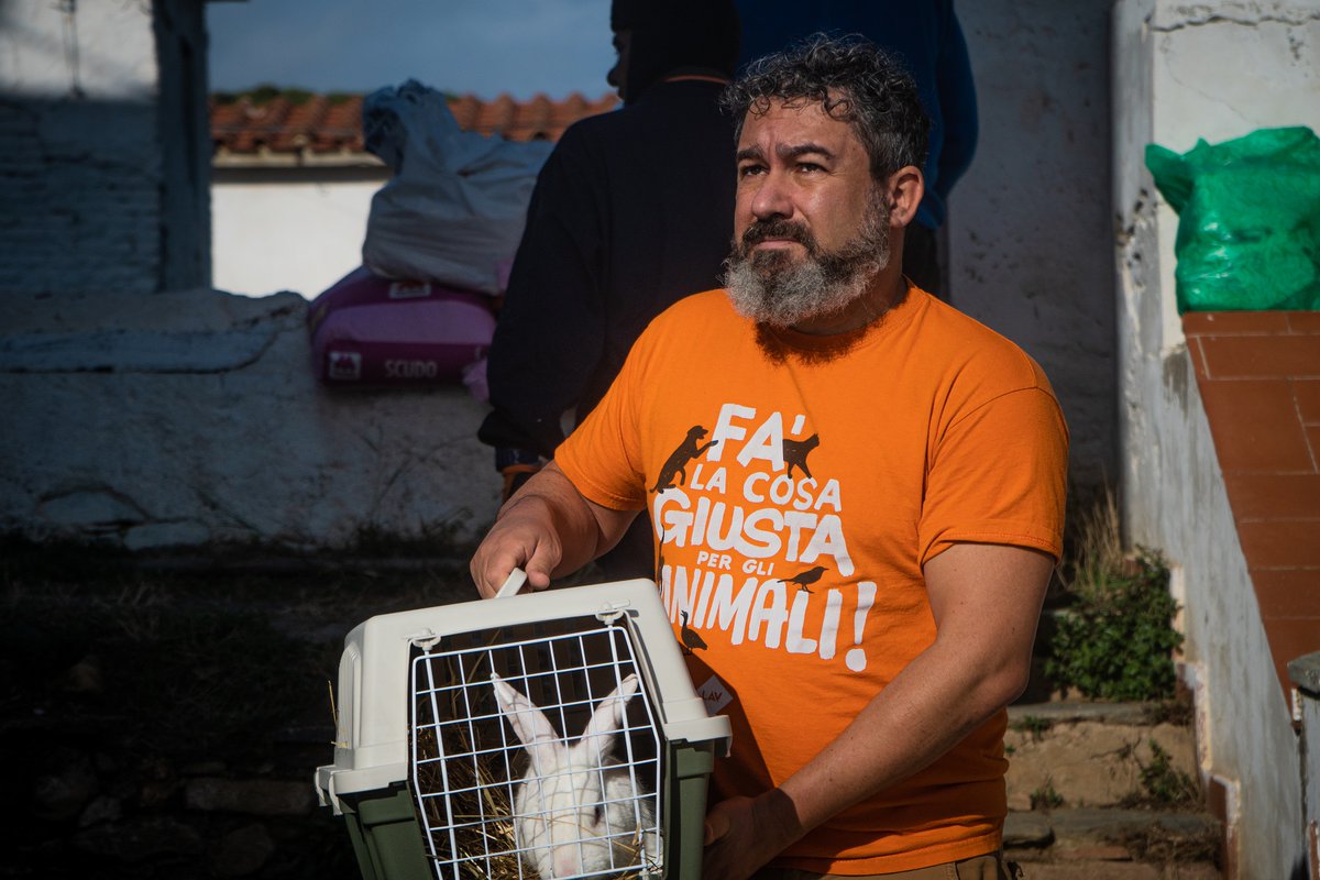 Giacomo Bottinelli - LAV #animali tweet media