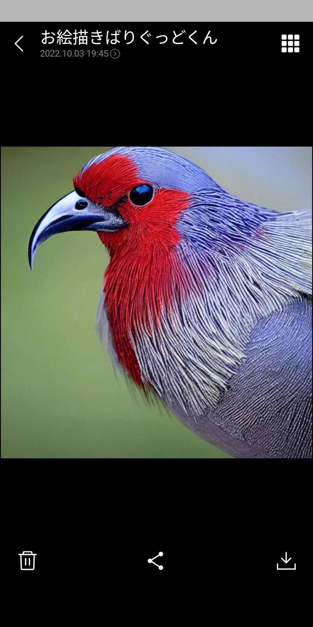 @mocchiri_green 羽毛が凄い鳥です！ 