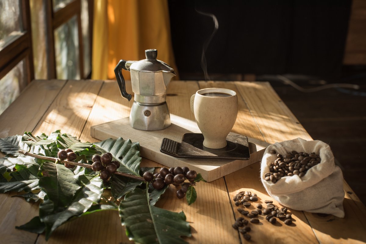 Aromistico's tweet photo. Thanks to all of you @Aromistico lovers, an additional 46 Trees have been added to our coffee forest in August and September.
☕️🌱☕️🌱☕
️
We plant a tree for every 10kg of coffee sold. Learn about our trees project at https://t.co/u6Nju0ohB6
#Aromistico #treenation #coffee https://t.co/MB6P27veNh