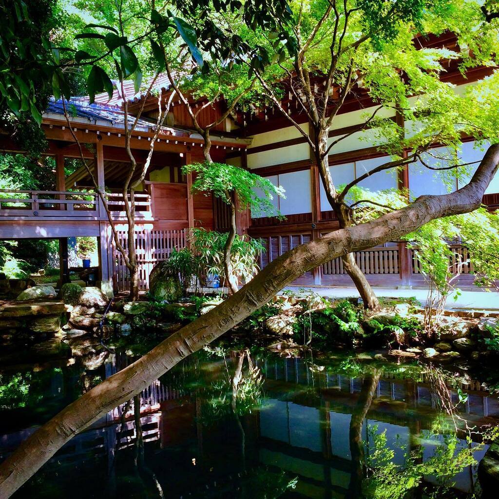 takuji_ichikawa's tweet image. #japanestemple #pondreflection