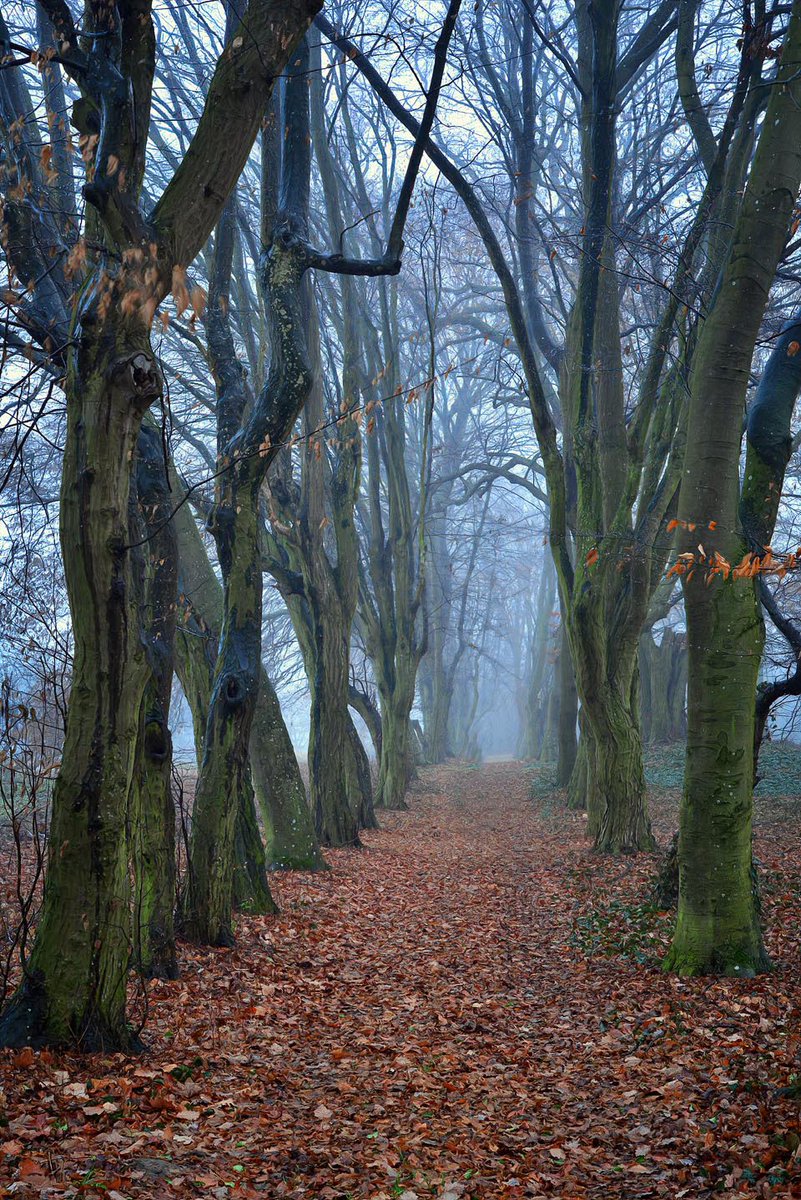 Photographer (@photo5065) on Twitter photo 