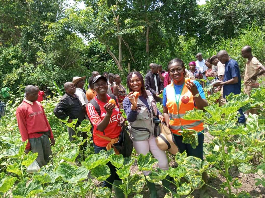 PIF_CI's tweet photo. Les femmes de Ahua produisent des tomates, des concombres et du Maïs. Ses activités sont réalisées dans le cadre de la mise en œuvre du projet PIF. https://t.co/0Pjt2tYFgH
