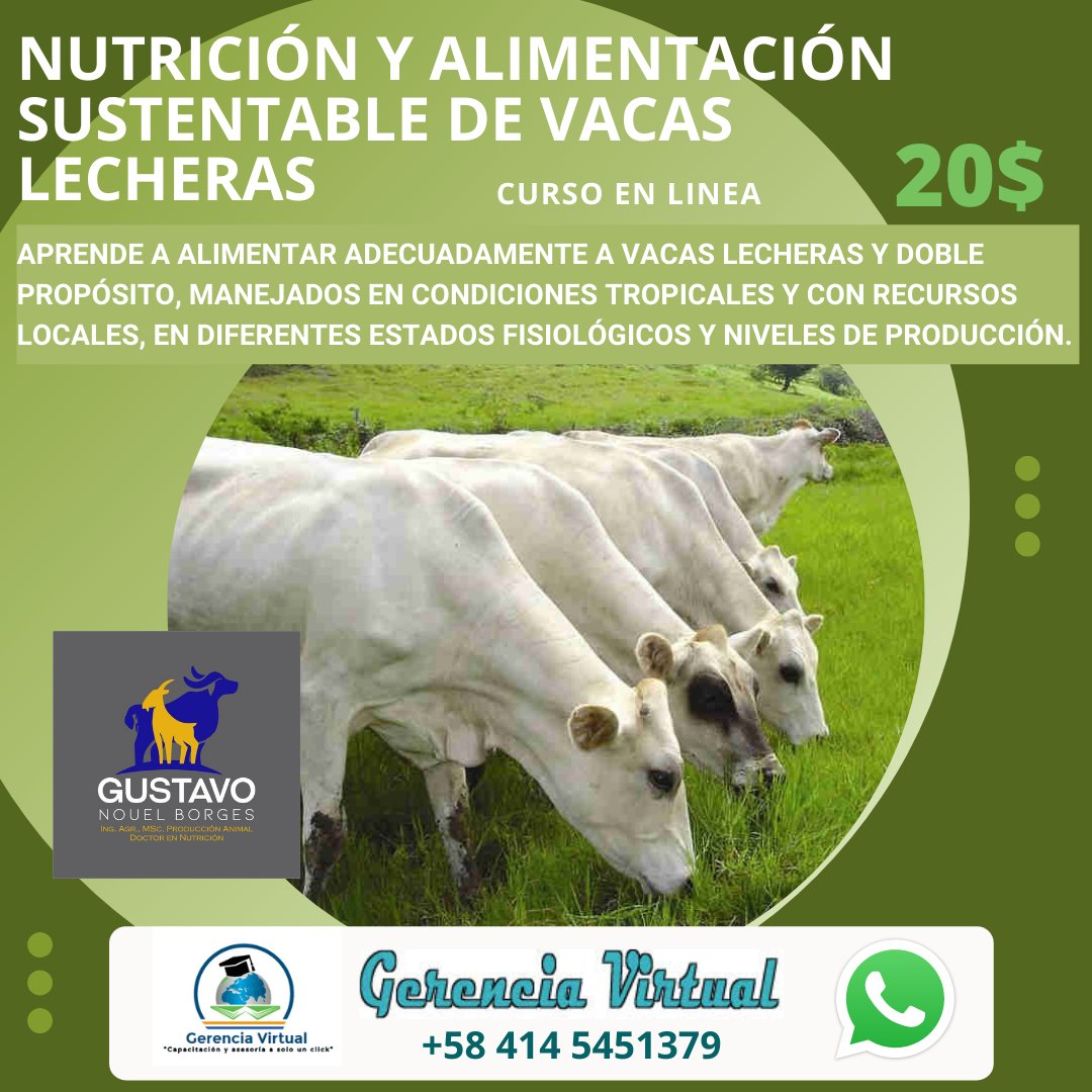 BiominbloqCA's tweet photo. Nuestro CEO @GustavoENouelB en Alianza con el Centro de Capacitación Virtual @ger_virtual Ofrecen variedad de Cursos Online en Fundamentos en Nutrición y Alimentación de #Rumiantes, otros con énfasis en Alimentación para Producción Sostenible de Leche para #cabras #vacas #bufalas https://t.co/CJekhqRJmF