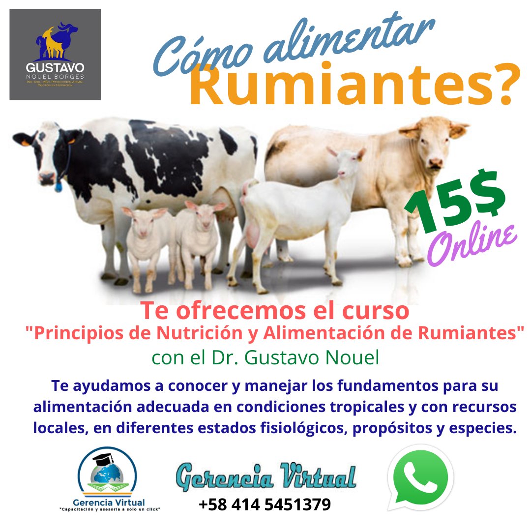 BiominbloqCA's tweet photo. Nuestro CEO @GustavoENouelB en Alianza con el Centro de Capacitación Virtual @ger_virtual Ofrecen variedad de Cursos Online en Fundamentos en Nutrición y Alimentación de #Rumiantes, otros con énfasis en Alimentación para Producción Sostenible de Leche para #cabras #vacas #bufalas https://t.co/CJekhqRJmF