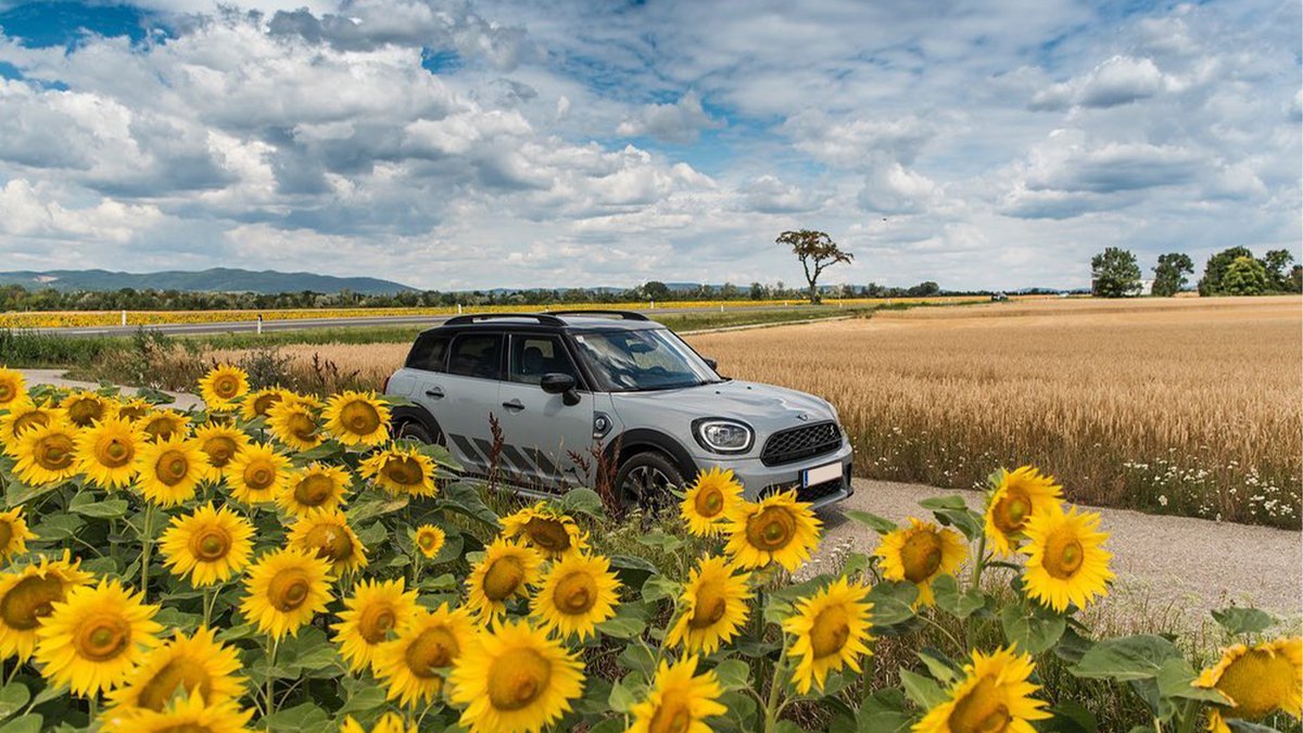 MINIEspana's tweet photo. ¿Preparados para el finde? Nuestro MINI Countryman Untamed Edition ya se ha dejado ver disfrutando en plena naturaleza. 😍

📸 IG: motorblock_at

#MINIES #MINICountryman #UntamedEdition https://t.co/HWdhwfAQLe