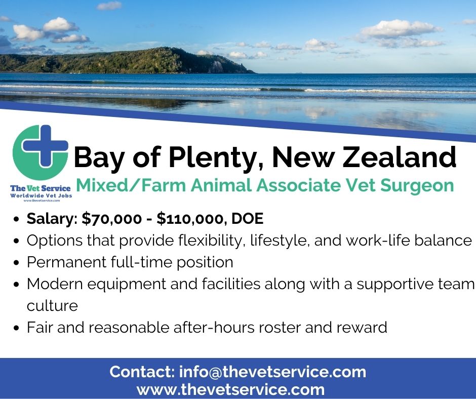 The Vet Service on Twitter "Mixed Animal Vet position in New Zealand