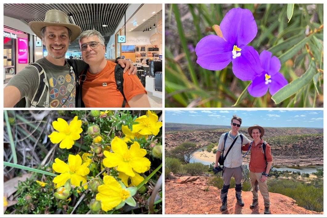 That’s a wrap! The Buzz Bus Australia has come to an end. It was an amazing trip! Thanks <a href="/dfield007/">David L Field</a> and <a href="/plant_ecology/">Daniel Montesinos</a> for all the science and fun over the last three weeks. Thanks <a href="/InsideNatGeo/">National Geographic Society</a> for funding. Stay tuned for results!