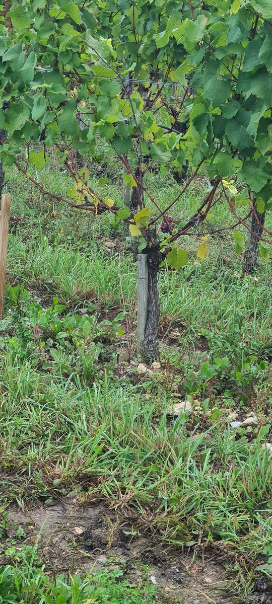 Mike Keighley tweet media