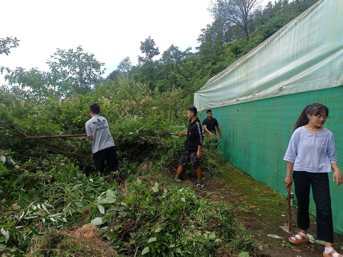 sno_nss's tweet photo. NSS Unit Pfutsero Govt College, Phek Nagaland observed Cleanliness drive at College premises https://t.co/ccTeXc9buU
