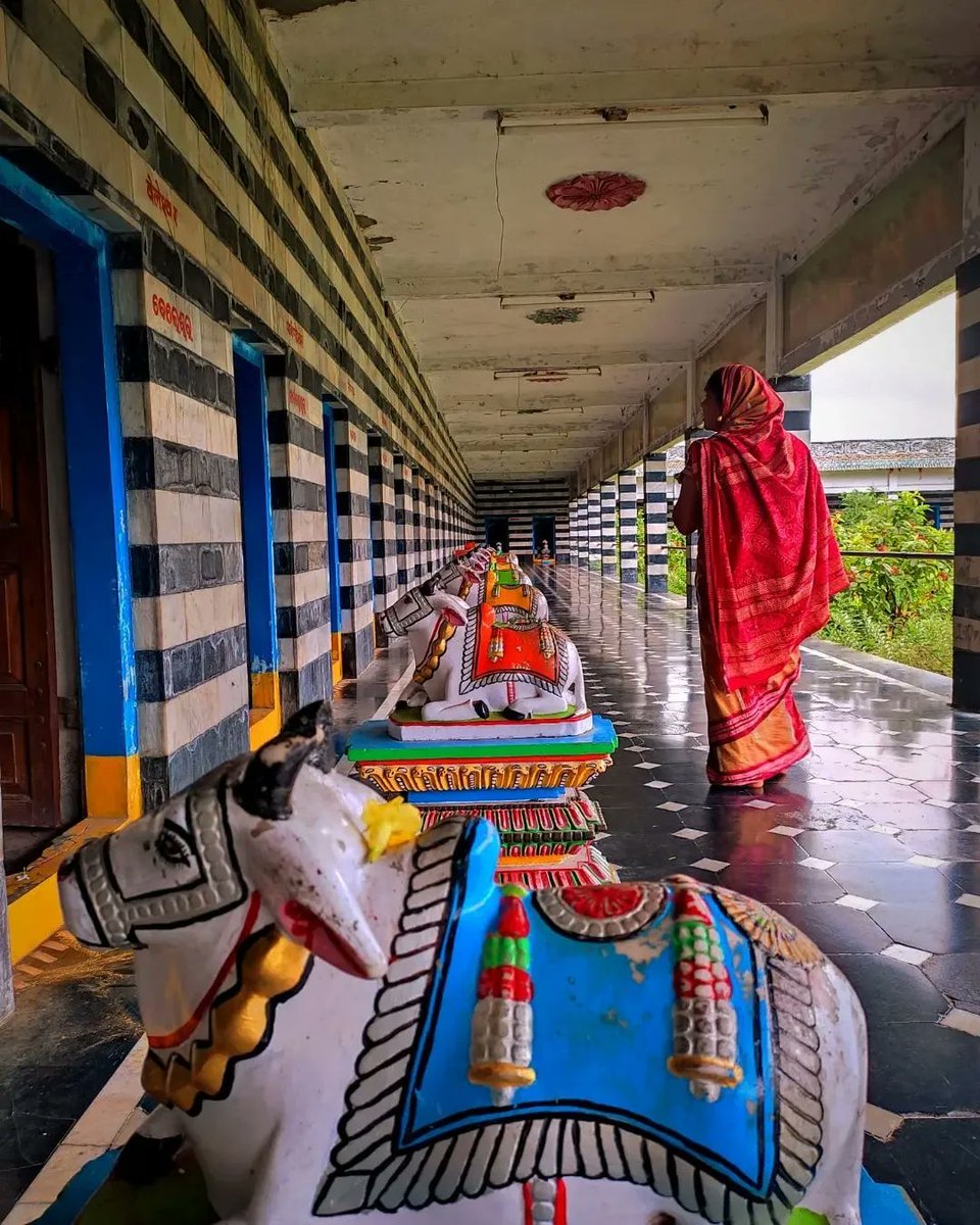MoGanjam's tweet photo. ଗଞ୍ଜାମର ସିଦ୍ଧ ଭୈରବୀ ଶକ୍ତି ପୀଠ 💫💖
#bhairabi #bharabitemple
#shaktipitha #moganjam #ganjam #odishatourism #photosofodisha
#odishatravelblogger
#odisha #berhampur
#durgapuja2022 #durgapooja2022
#chaloodisha #travelrealodisha #beautyofodisha
Photo Credit 👉 @mr.__maharana https://t.co/hTohOoE8NR