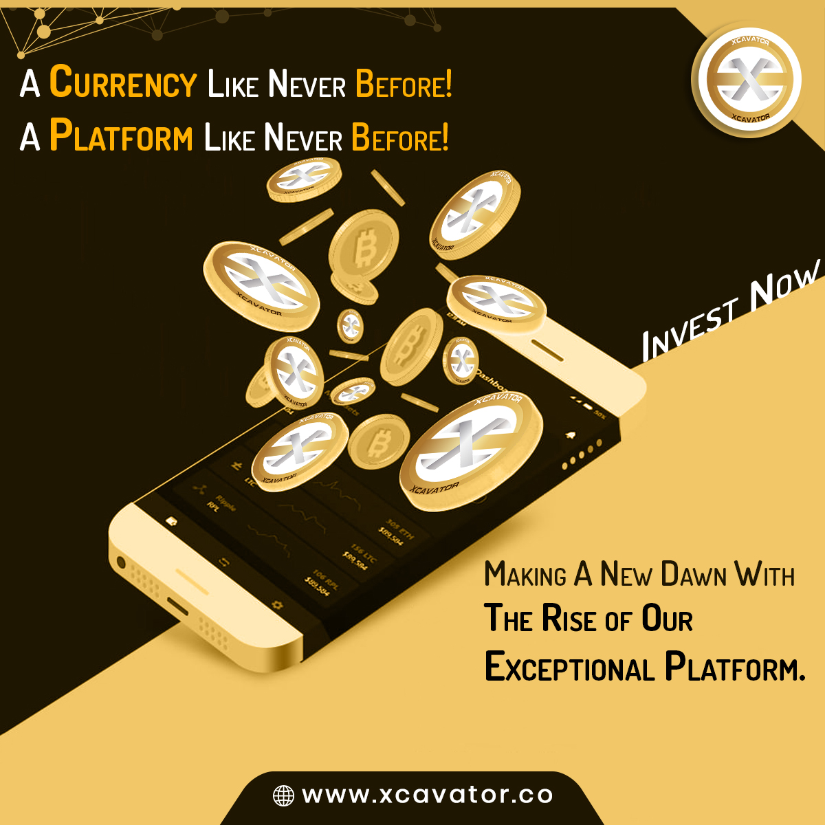 Xcavator International tweet media