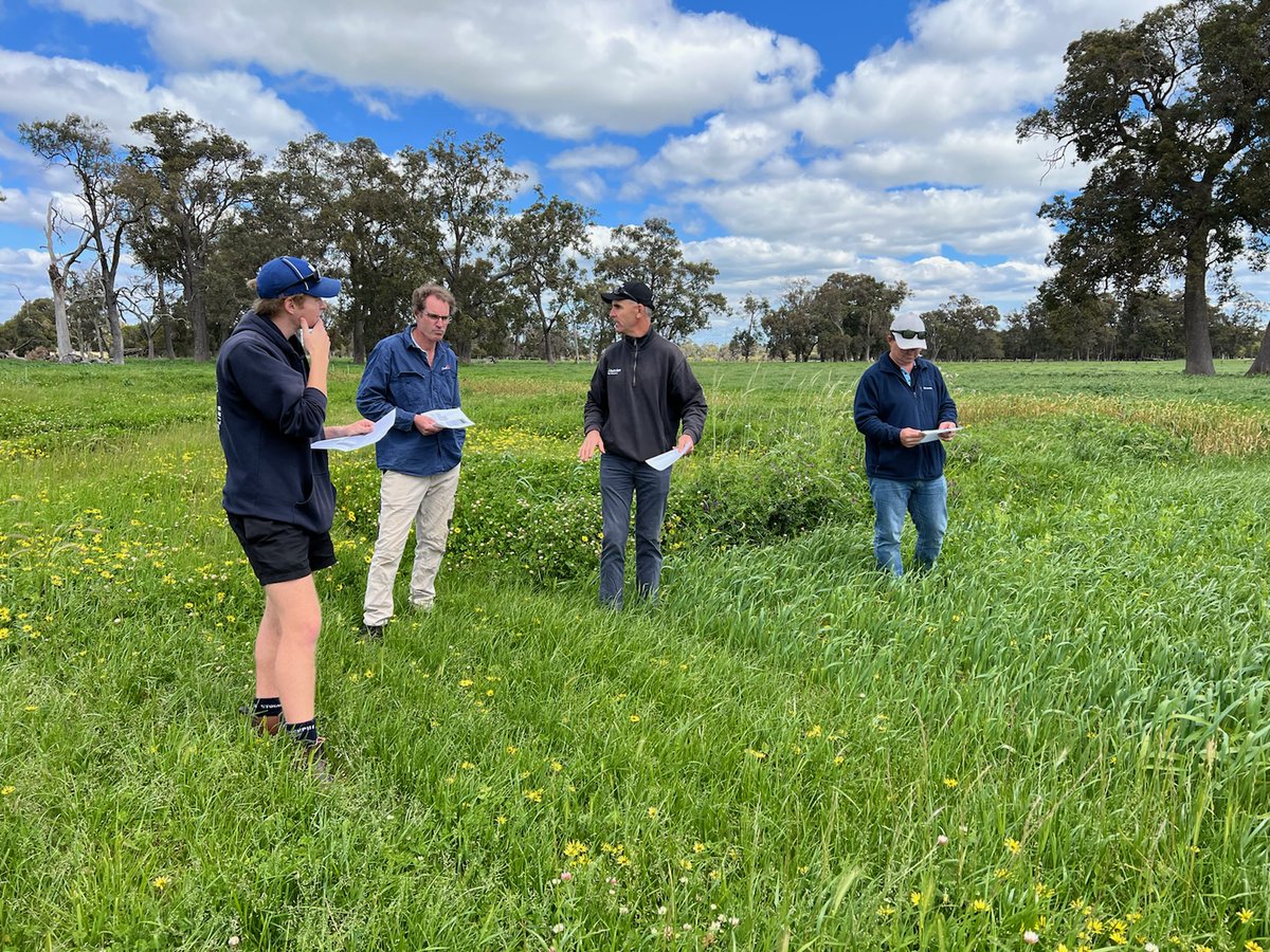 WALRC1's tweet photo. Remember our Farm a Friend program? Well, it's in full swing! @uwa student Lleyton Whitely had a big day today with @walrc1's Matt Camarri, @growitsam @bellseeds and @HayleyCNorman #somuchlearning If that's not a great way to get excited about pasture, what is! https://t.co/YGiMrgkmsW