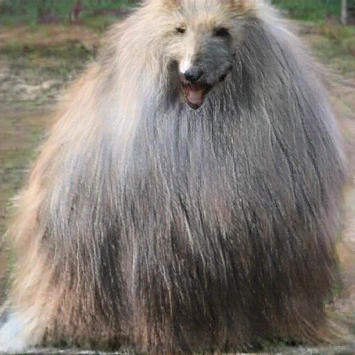 AI art should NOT be used to steal from/replace concept artists. AI art SHOULD be used to generate the most fucked up dogs imaginable. 