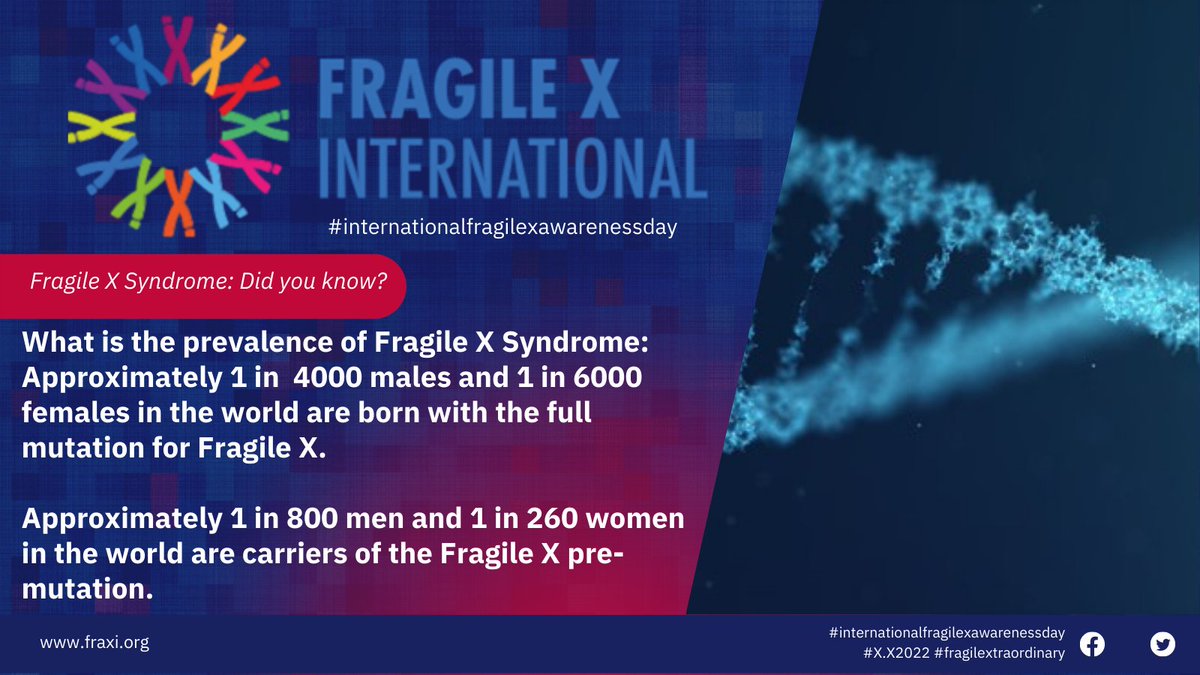 FraXI_FragileX's tweet photo. #internationalfragilexawarenessday #XX2022 on 10th October. Today's 'Did you know' is about the prevalence  of #fragilex  #genetics https://t.co/Tw4IpnH2Yk