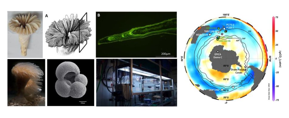 leopenausa's tweet photo. Fantastic PhD opportunity at @ICMCSIC "Elucidating the Southern Ocean Control of Atmospheric CO2 using a Selection of paleo-archives and proxies". Work with the amazing #EvaCalvo and #CarlesPelejero. Contact them for inquiries: carles.pelejero@icrea.cat ecalvo@icm.csic.es https://t.co/BHoDJ8QE2U