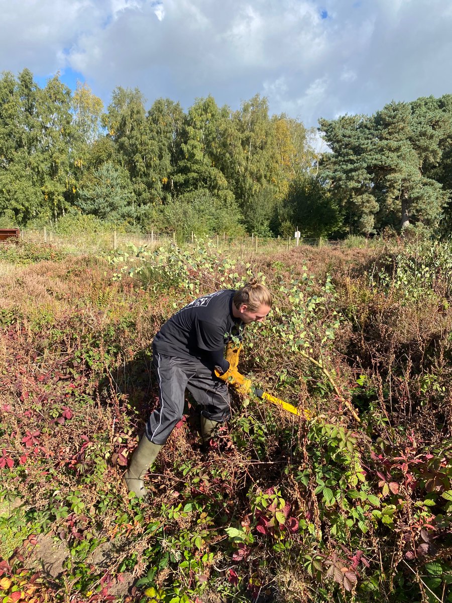 CNCVgroup's tweet photo. Fantastic turn out yesterday at Brereton Heath Local Nature Reserve, Congleton. The team removed birch saplings from heathland to manage the habitat 🌳 https://t.co/GEIobb5YZF