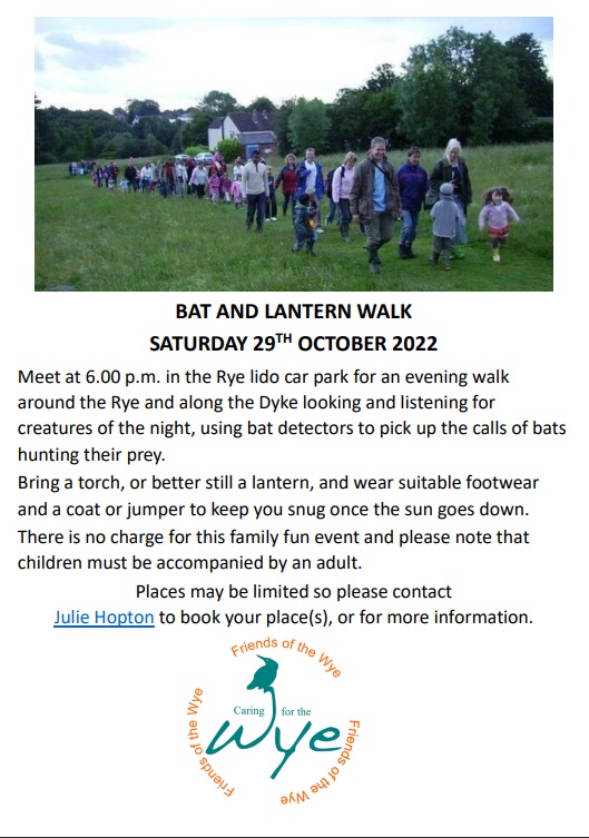 Stephen71497216's tweet photo. On a warm evening in late autumn there are still large numbers of bats on the wing on the Rye in High Wycombe. But they won't come out if it is cold! https://t.co/hXJwdZRMkn