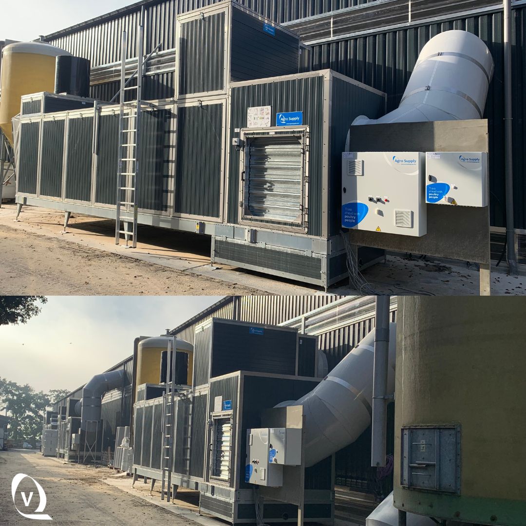 VencomaticGroup's tweet photo. Fresh start of the week with a new layer house in the Netherlands! Equipped with #aviary system Bolegg Terrace and for #climatecontrol ECO Zero, ensuring optimal living conditions for hens. - https://t.co/7JrxQjhhAB
#cagefree #poultry #layers #tableeggs #vencomaticgroup https://t.co/7jJzkMCj2L