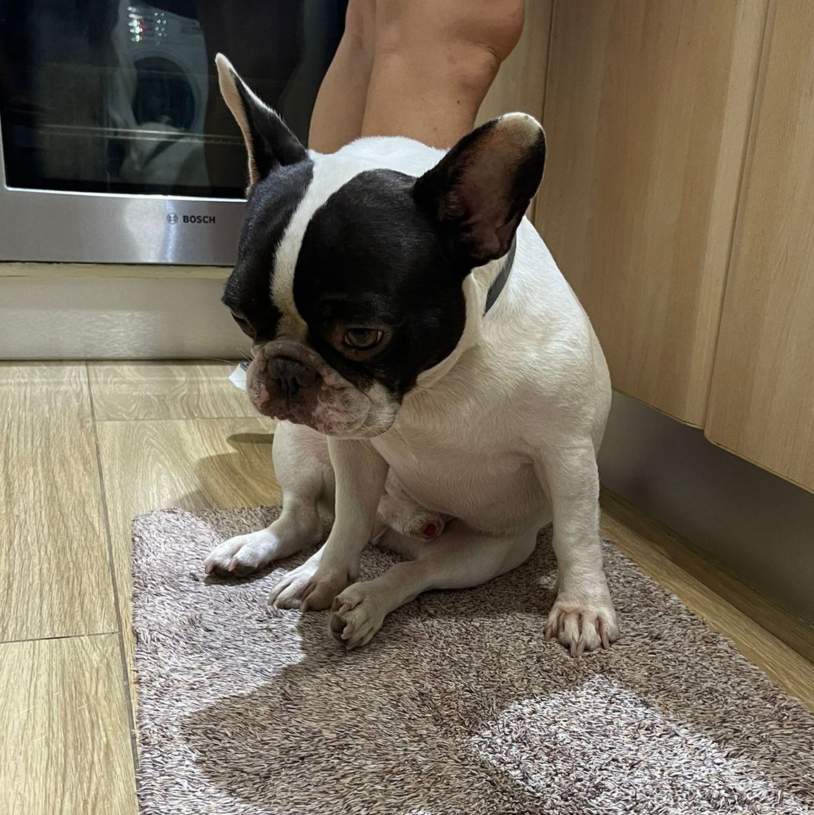 @srtagalicia.bsky.social tweet media