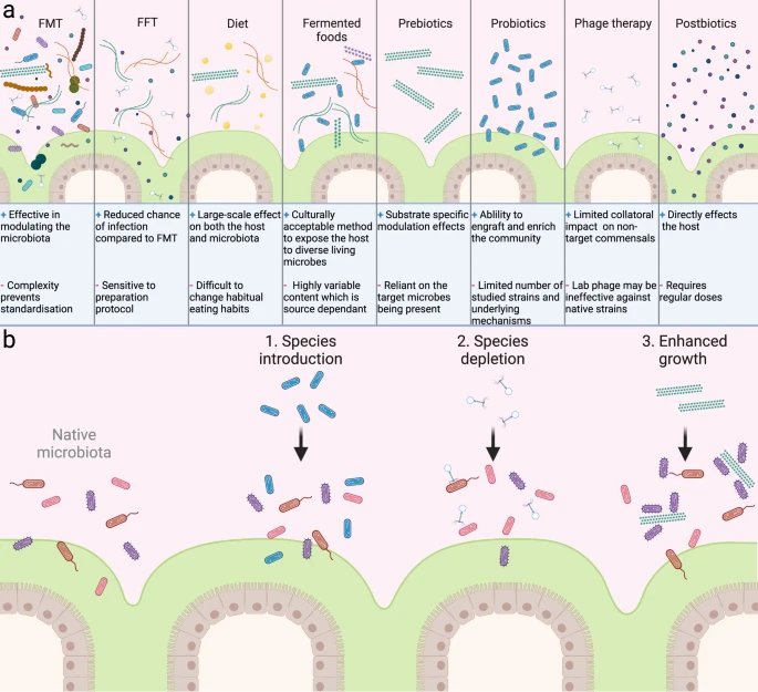 Katie Guzzetta 🌻 (@ktguzz) on Twitter photo How does the #GutMicrobiota influence the #Immune system? This impressively collaborative review discusses just that! 🦠
<a href="/MucosalImmunol/">Mucosal Immunology</a> #GutMicrobiome #immunity
nature.com/articles/s4138… How does the #GutMicrobiota influence the #Immune system? This impressively collaborative review discusses just that! 🦠
<a href="/MucosalImmunol/">Mucosal Immunology</a> #GutMicrobiome #immunity
nature.com/articles/s4138…