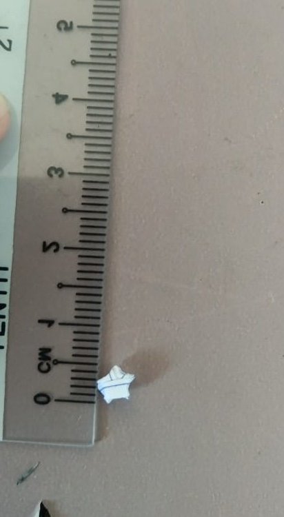 rainq_'s tweet photo. does this little paper star count? 😿 @GWR
#paperstar #origami #paper https://t.co/11DmNHa0ML