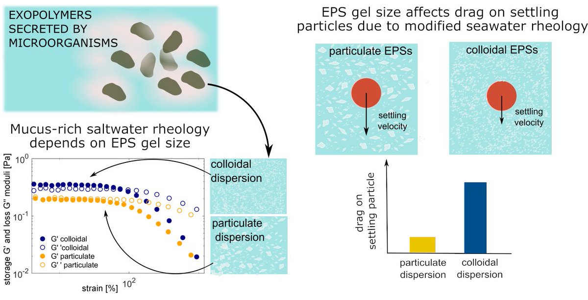 Magdalena Mrokowska tweet media