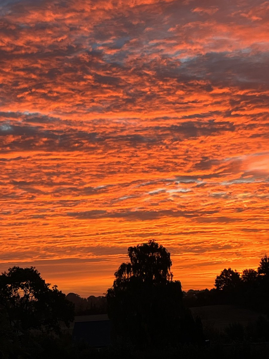 oedipusscat's tweet photo. Monday morning, #TemeValley https://t.co/mZp2NMOKSI