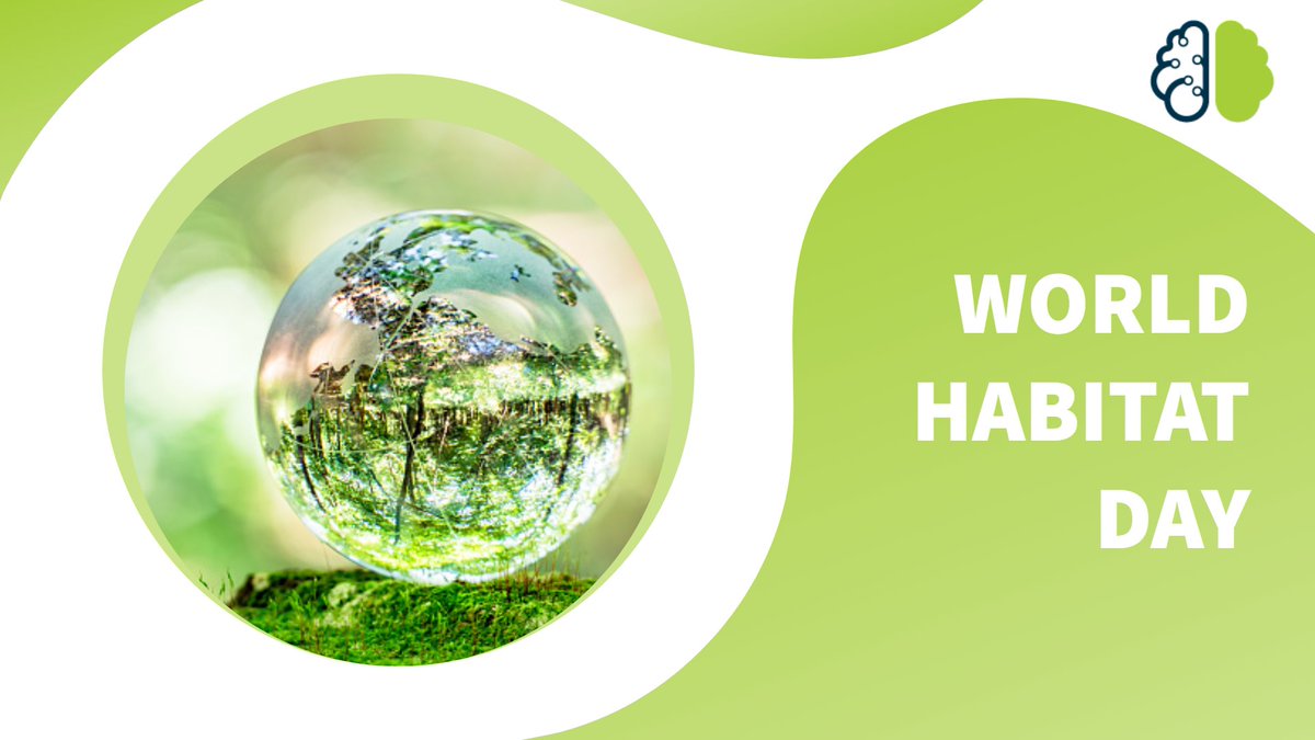 1point3creative's tweet photo. Habitat destruction is one of the biggest challenges that the world is facing today and therefore, we must come together to save it. Happy World Habitat Day to all ☘

#habitat #1P3 #internationalday #worldhabitatday https://t.co/LR5GtEAFju