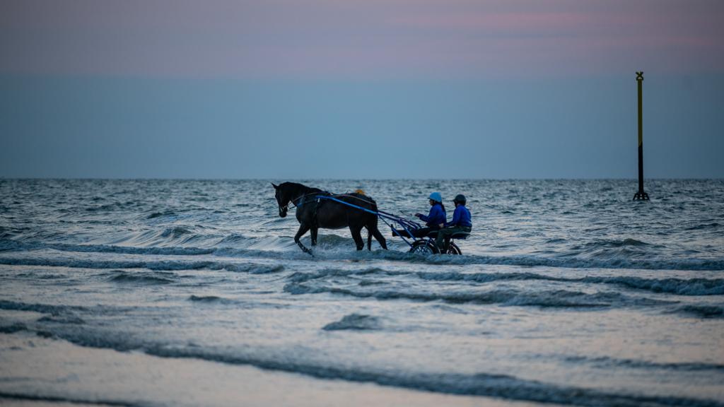 🎁 𝐉𝐄𝐔 𝐂𝐎𝐍𝐂𝐎𝐔𝐑𝐒 🎁

Gagnez votre baptême de sulky sur la plage de Cabourg avec 𝑺𝒖𝒍𝒌𝒚 𝑷𝒂𝒔𝒔𝒊𝒐𝒏 🤩

Pour cela il suffit de :

➡️ RT ce tweet
➡️ Follow <a href="/EcurieGriff/">Ecurie Griff</a> &amp; <a href="/SulkyPassion/">Sulky Passion</a>

Fin du concours ce dimanche à 18h 😁