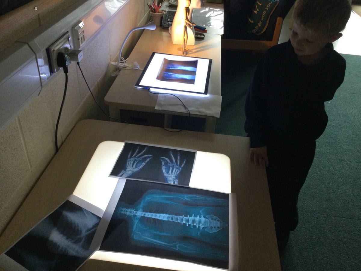 MonktonRecep's tweet photo. Oh just an early morning anatomy, injection and transfusion lesson in Balackbirds class. #MonktonRecep #MonktonScience https://t.co/OknwUnYA0q