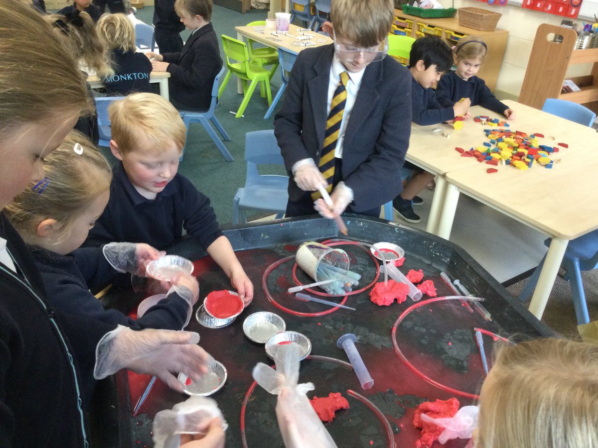 MonktonRecep's tweet photo. Oh just an early morning anatomy, injection and transfusion lesson in Balackbirds class. #MonktonRecep #MonktonScience https://t.co/OknwUnYA0q