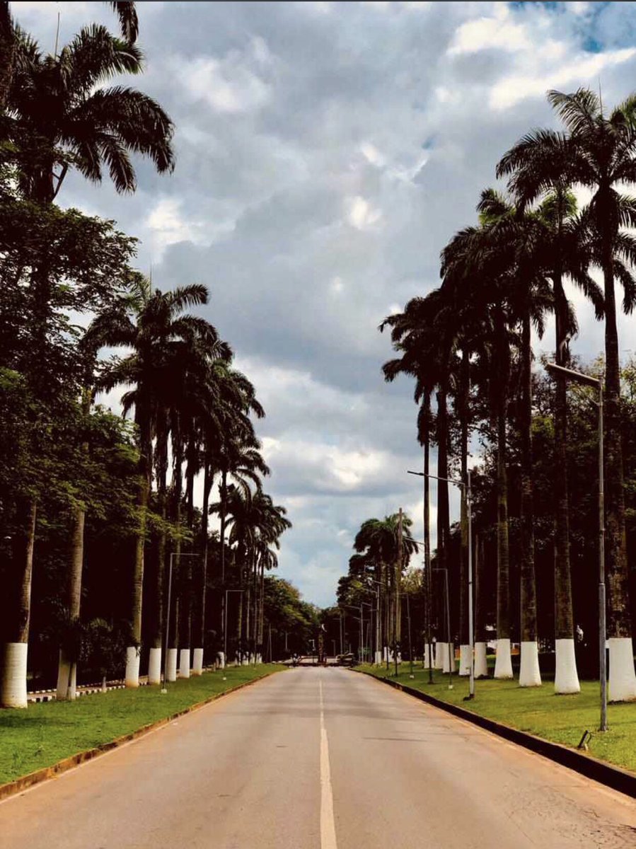 KnustRoad's tweet photo. A very Good morning from the Best University In Ghana🇬🇭 [KNUST]. https://t.co/Jj2aaRAv2H