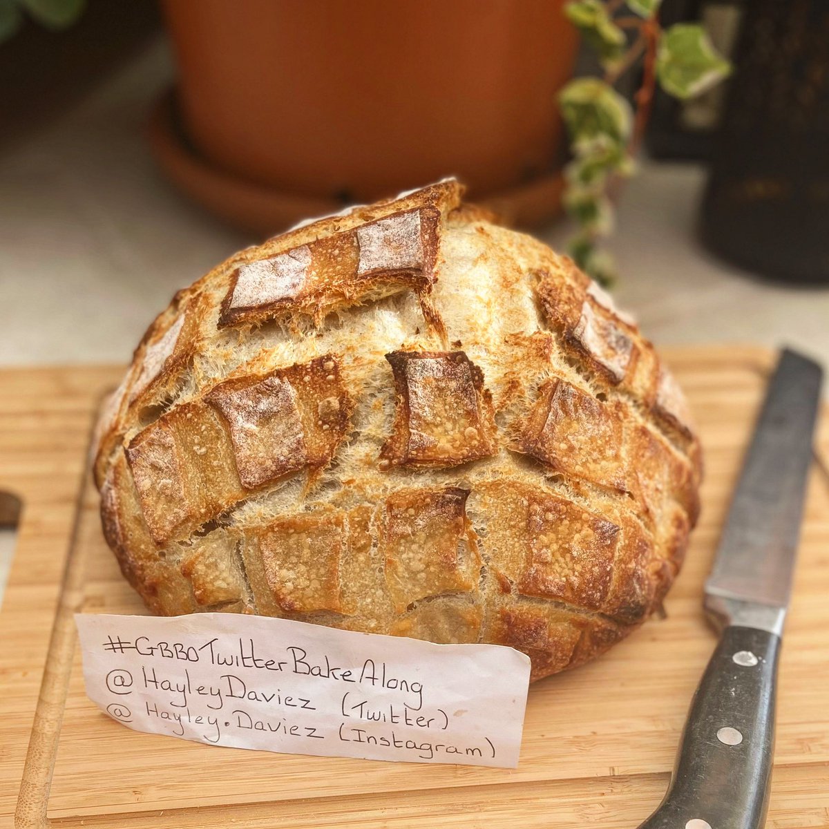 Hayleydaviez's tweet photo. My bake this weekend for #gbbotwitterbakealong  #breadweek is a Sourdough loaf 🍞 https://t.co/KBKefoIRgK