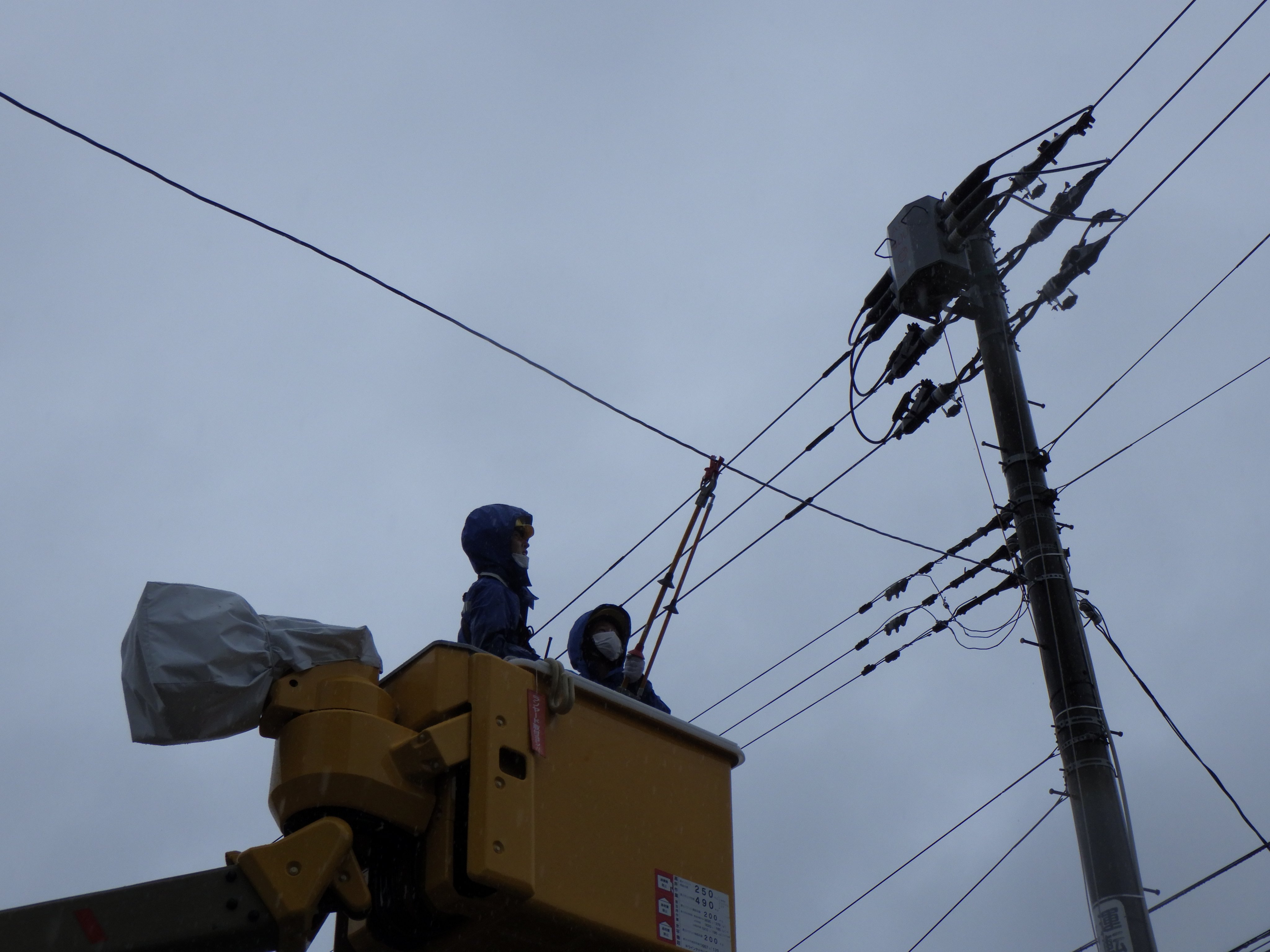 東北電力ネットワーク株式会社 Tohoku Network Twitter