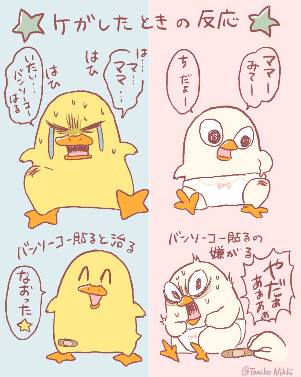 怪我したときの反応が全然違〜う

#鶏さんの絵日記 