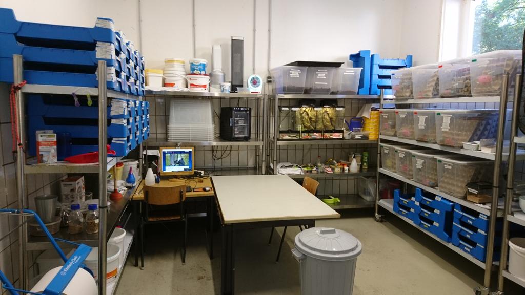 dr_nils's tweet photo. #TuerenAuf das #insectarium der #Tiho beteiligt sich am Türöffnertag  der #sendungmitdermaus. Dabei präsentieren wir ua Ergebnisse aus #IFNext und #InZukunft. Wir freuen uns sehr! https://t.co/jEkIrHp77c