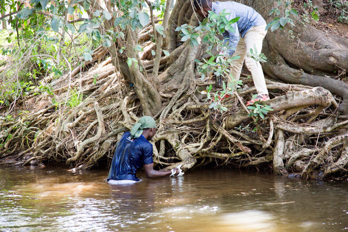 LuisMatu4's tweet photo. lets clean our environment and make sure our rivers are clean, pale mtaani na pia tupande miti #keepourEnvironmentclean #tutunzemazingira  @Octoh031 @PublicPathways  @PeterNgure @Laikipia_health @KCBGroup @tendasasa @ActionAid_Kenya @sirjaysuits @KenyaRedCross @TheNjogu https://t.co/wyHB0d55AG