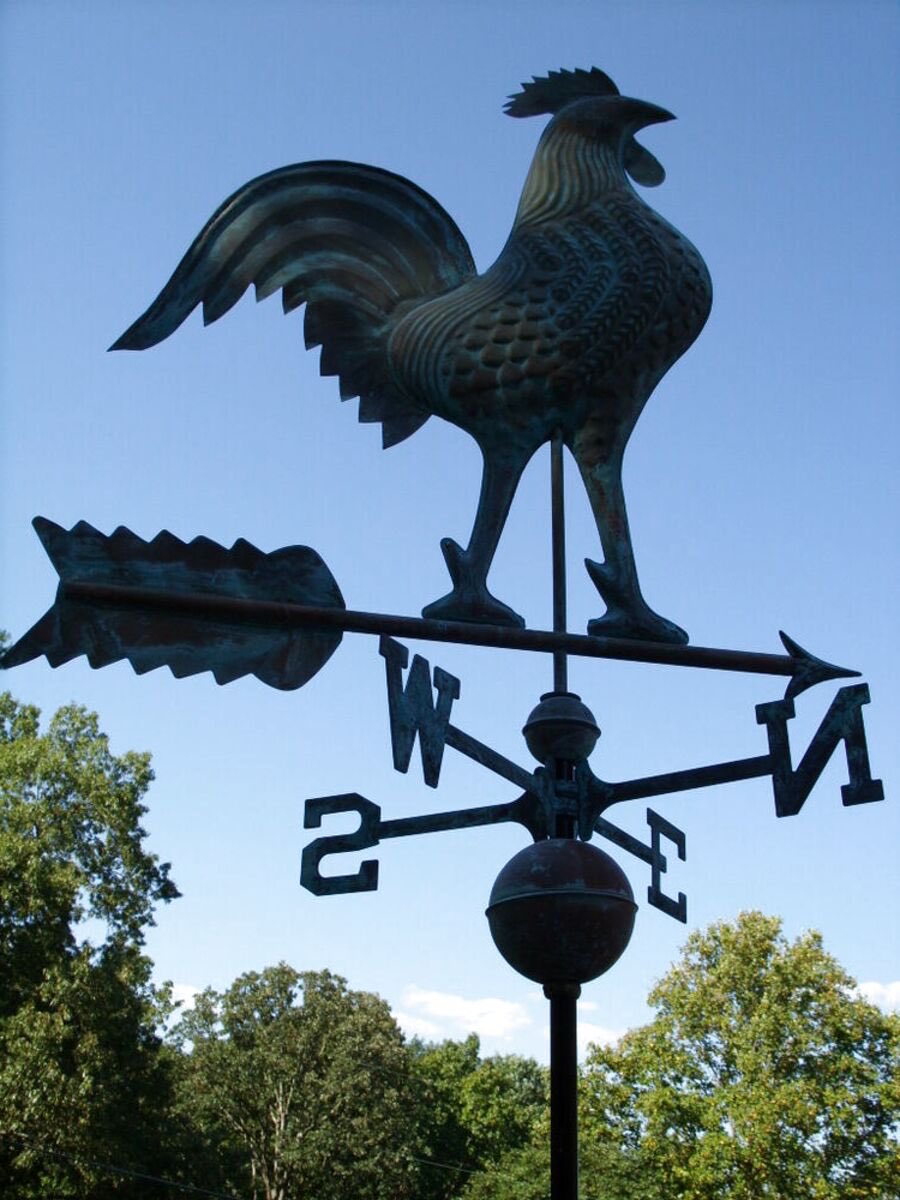 chiller ★ on Twitter "RT TruthToPowerTV The French nickname for Mary Elizabeth Truss is La