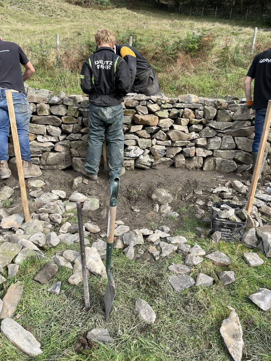 Young farmers walling competition Evan and Aaron first go walling got to learn some time